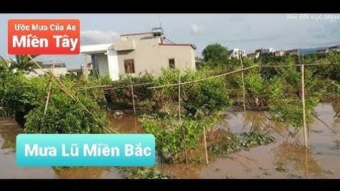 Cơn Mưa To Lịch Sử - Lũ Ngập Vải  Thiều  Táo Lục Ngạn  Có Sao Không l Núi Đồi Lục Ngạn