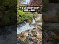 The UK Money Shift: 1985 vs 2026