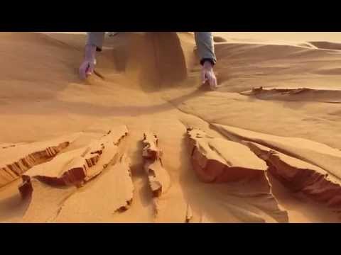 Playing in the sand (Sahara)