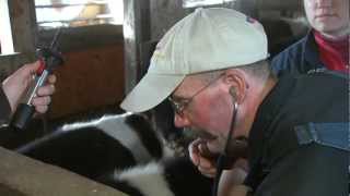 VetsOnCall - Pete Ostrum child 'Wonka' star devotes life to animals + farms