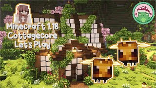 1.18 Aesthetic Greenhouse Honeycomb Farm 🍯 Ep. 9 - Minecraft 1.18 Let's Play 🐝 Net Worth