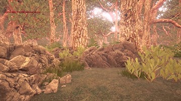 Unreal Engine 4 forest time lapse