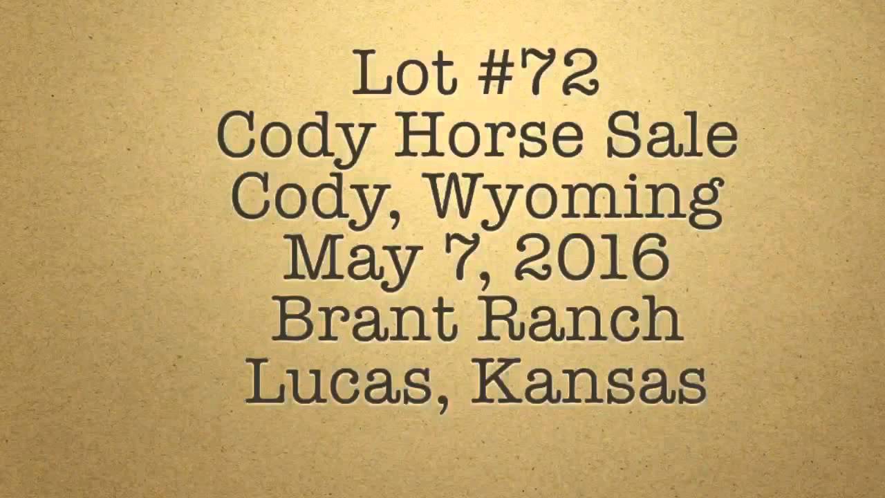 Peptos Hank Hancock, Lot 72, Cody Horse Sale, Cody,Wyoming May 7, 2016 - Yo...