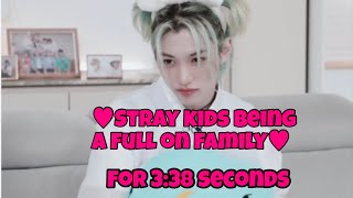 Stray kids being a big family#StrayKids