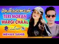 Punjabi song 2024  teri moran wargi chaal  mehar sahib  latest punjabi saraiki songs