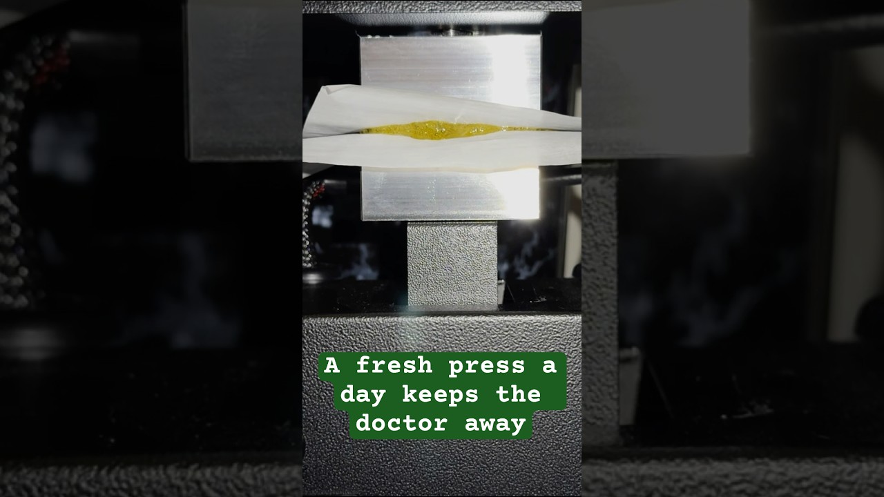 NUG SMASHER MINI !!!!!!! A quick n easy press to start your day, like some fresh OJ