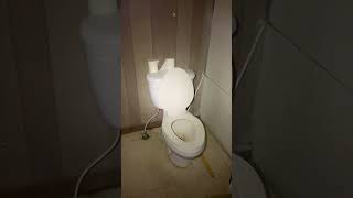IMG 6684