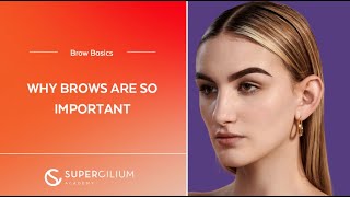 Why are brows so important? | Brow Basics Course