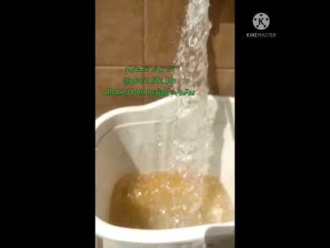 التسميد بالسماد السمكي جلف اغروا سماد ممتاز