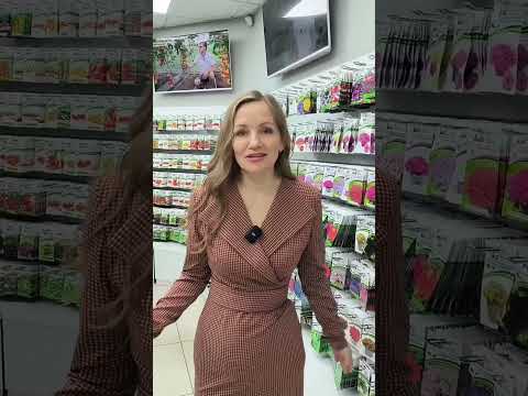 Лучший магазин для