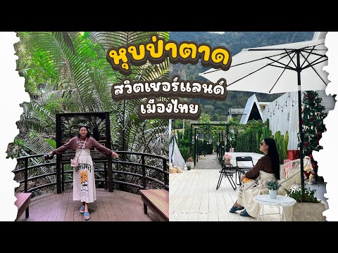 เดินป่าดึกดําบรรพ์  ชมวิวสวย สวิตเซอร์แลนด์ เมืองไทย จ.อุทัยธานี