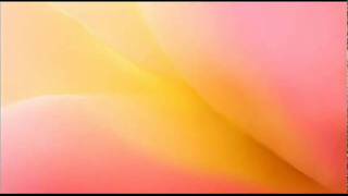 A. Vivaldi: Concerto for viola d'amore, strings & b.c. in D major (RV 392)