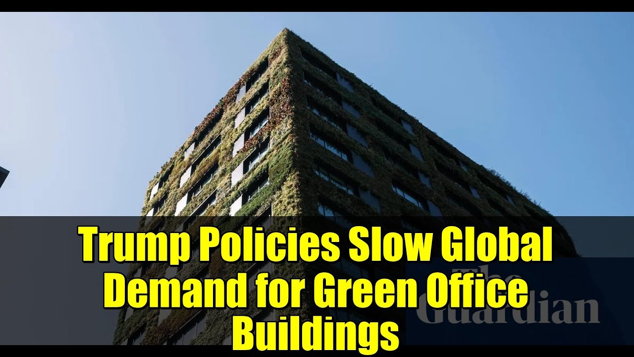 Trump Policies Slow Global Demand for Green Office Buildings