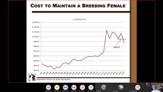 Show Me the Money Beef Webinar Series - Session 3