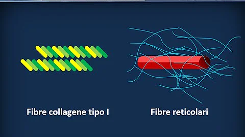 A cosa serve la sostanza fondamentale?