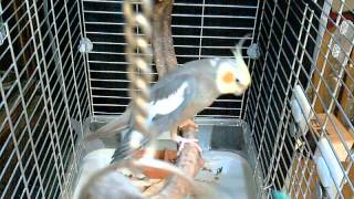 20120501風歩3