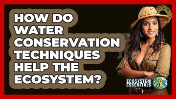 How Do Water Conservation Techniques Help The Ecosystem? - Ecosystem Essentials