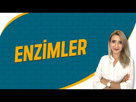 Enzimler | Seda Hoca Biyoloji ( 8. Ders ) #sedahocabiyoloji #tyt2023