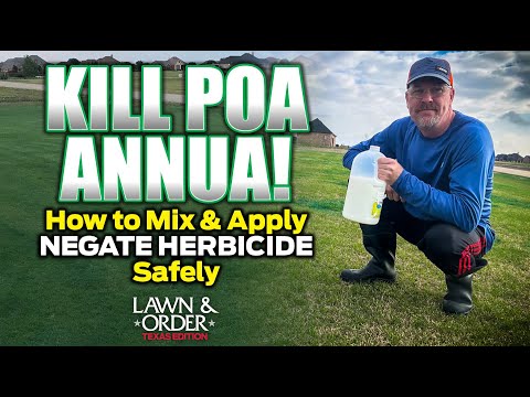 KILL POA Annua! How to Mix & Apply NEGATE Herbicide Safely