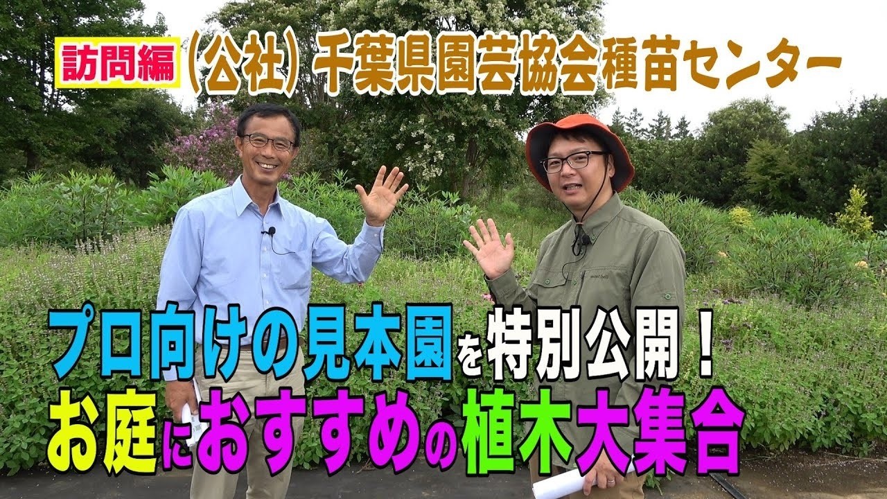 （公社）千葉県園芸協会種苗センター　プロ向けの見本園特別公開！お庭におすすめの植木大集合～ガーデンドクターTV75 RM
