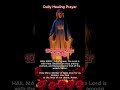 Daily Healing prayer 10 Hail Marys