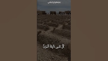 تلاوة بصوت : #فيصل_الحكمي