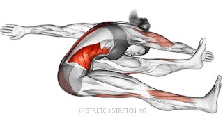 Post-Workout Stretch Routine for Injury Prevention \& Flexibility