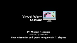 Famous VW#5 Dr. M. Hendricks - Head orientation and spatial navigation in C. elegans Wealth