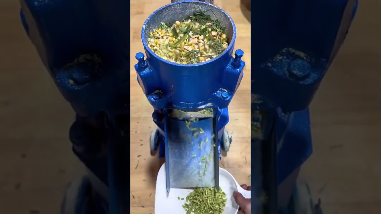 Make Animal Feed from Grass & Corn | 80-150kg/h Pellet Machine for Poultry & Livestock 