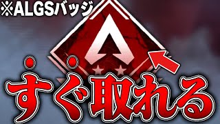 【新品・未使用】ALGS バッジ 2個セット【APEX】 これって何のバッジか知ってる人いる？ Day 1プレイヤーだけど、こんな