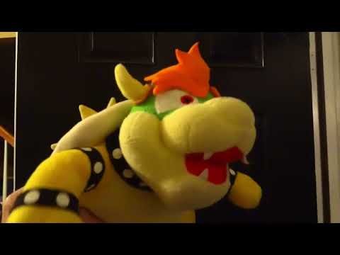 Bowser The IDIOT 3...
