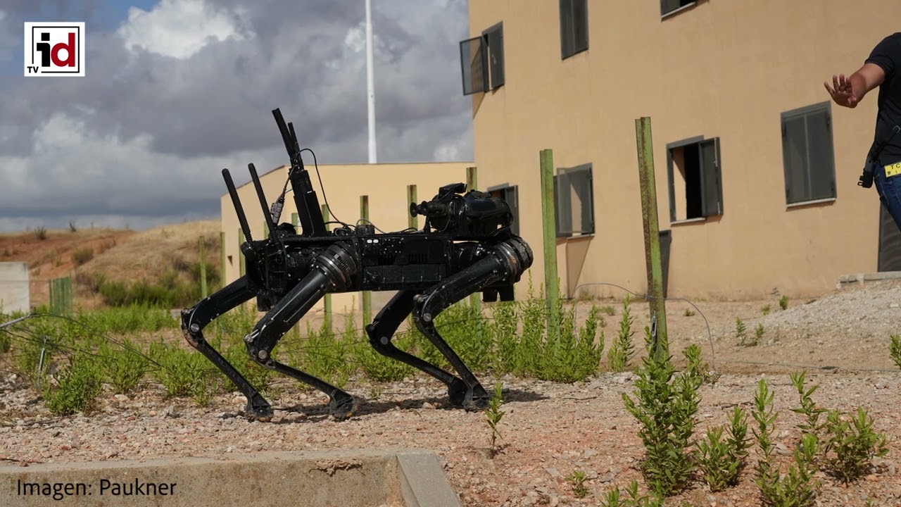 Fabricante militar presenta perro robot armado con un rifle – DW –  18/10/2021