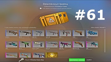 Opening 1 Case Everyday Until I Get a Knife #61