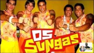 OS SUNGAS MEGA MIX  Dj Paulo CD Creator  mpg
