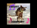 a bailar cadeneros (version completa)
