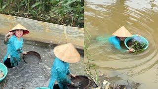 Mưu Sinh Mùa Nước Nổi “ Em Hằng Đi Ra Đồng Bắt Cá Về Cho CHị Hai Nấu Bữa Cơm Quê Ấm Lòng.