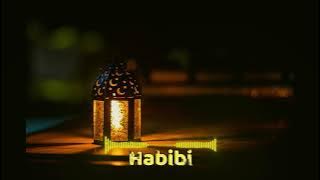 Habibi | instrumental | SLOWED & REVERB