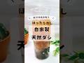 ほったらかし!秒で仕込める★無添加お出汁 #shorts #無添加 #出汁 #無添加調味料 #無添加レシピ