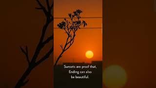 Life&#39;s beauty|#life #lifelessons #lifechanging #reality #motivation #beautiful #beautyoflife #viral