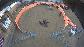 Big Sky Ranch Sorting Saddle Series #3 - #7 Sort - Round #1 - Ride #15