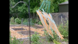 Garden decoration  - bird deterrent