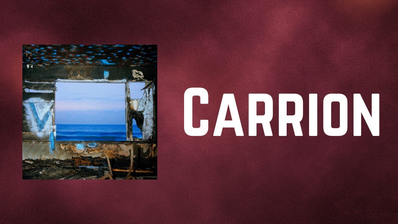 Deerhunter - Carrion (Lyrics) - YouTube