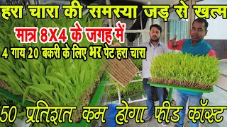 बिना जमीन के करें 8x4 जगह में हाइड्रोपोनिक तकनीक द्वारा हरा चारा  उत्पादन Hydroponic Farming At Home