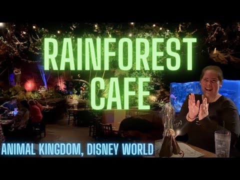 Dining at Rainforest Cafe | Animal Kingdom Walt Disney World Video Thumbnail