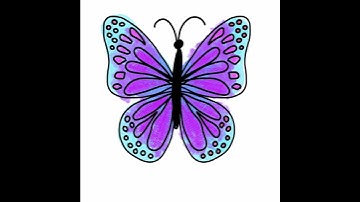 T🦋✍🏽imelapse drawing abstract butterfly | #adobefresco