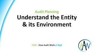 3.2 Audit Planning - Understand the Entity & its Environment Guide