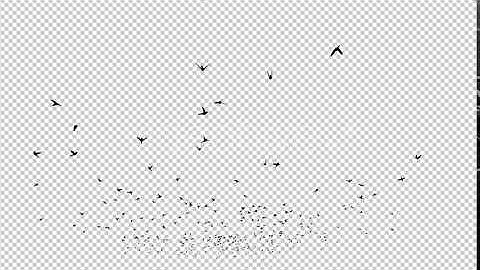 Birds Silhouette | Motion Graphics - Envato elements