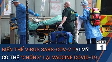 Biến thể virus SARS-CoV-2 tại Mỹ có thể "chống" lại vaccine Covid-19 | VTC1