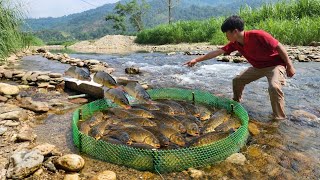 How to trap fish in a stream using a wooden slide and green net.