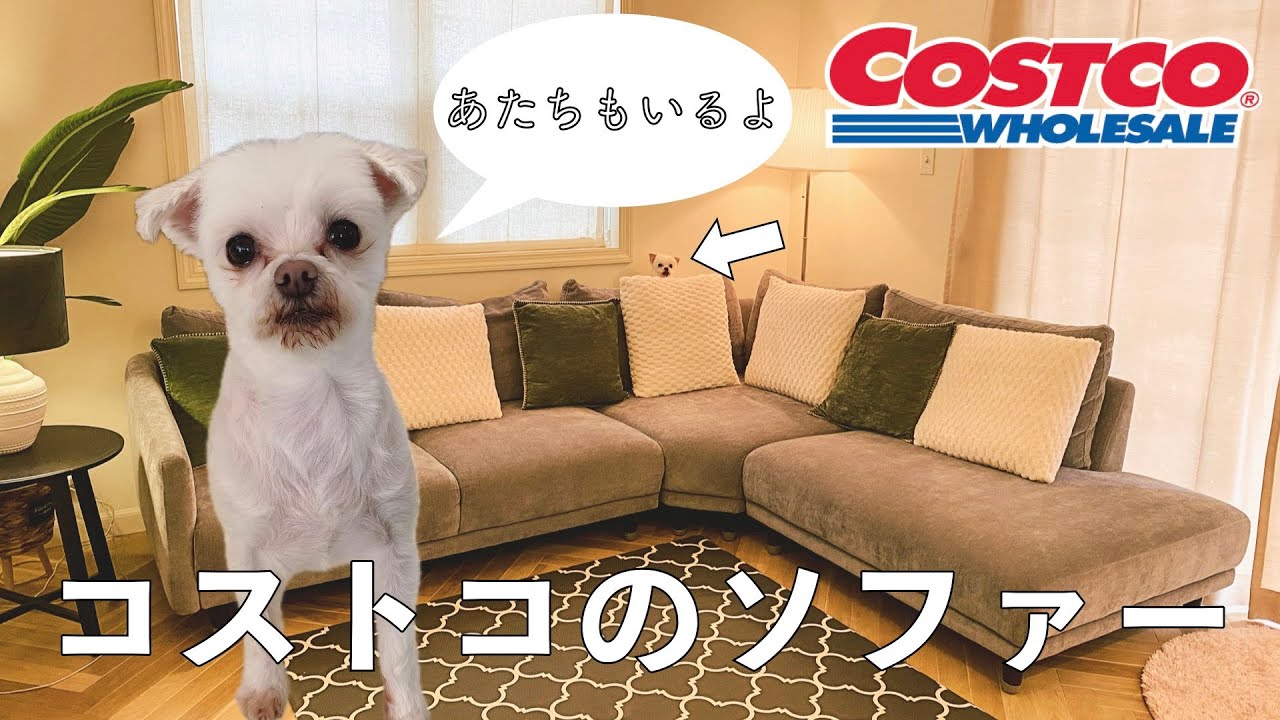 コストコのソファー買ってみた - YouTube